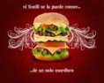 /album/fotogaleria-inicio/images-2-jpg2/